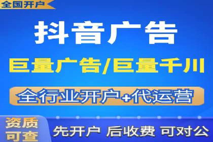 百度竞价代运营成功案例解析