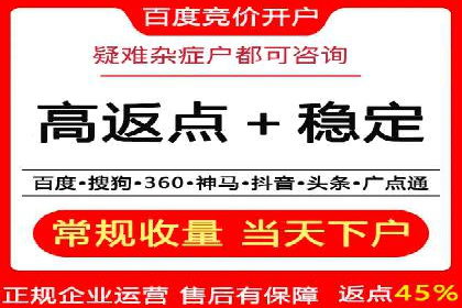 百度推广实战：成功案例解析